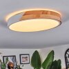 Cadaixo Taklampa, Panel LED Vit, 1-ljuskällor, Fjärrkontroll