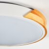 Cadaixo Taklampa, Panel LED Vit, 1-ljuskällor, Fjärrkontroll