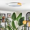 Cadaixo Taklampa, Panel LED Vit, 1-ljuskällor, Fjärrkontroll