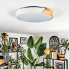 Cadaixo Taklampa, Panel LED Vit, 1-ljuskällor