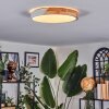 Cadaixo Taklampa, Panel LED Vit, 1-ljuskällor