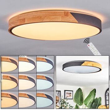 Cadaixo Taklampa, Panel LED Vit, 1-ljuskällor, Fjärrkontroll