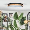 Cadaixo Taklampa, Panel LED Vit, 1-ljuskällor, Fjärrkontroll