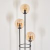 Gastor Golvlampa 30 cm Trä mörkt, Svart, 3-ljuskällor