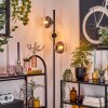 Koyoto Golvlampa Amber, Klart, Rökfärger, 3-ljuskällor