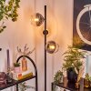 Koyoto Golvlampa Amber, Klart, Rökfärger, 3-ljuskällor