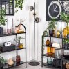 Koyoto Golvlampa Amber, Klart, Rökfärger, 3-ljuskällor