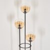 Gastor Golvlampa 30 cm Trä ljus, Svart, 3-ljuskällor