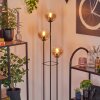 Gastor Golvlampa 30 cm Trä ljus, Svart, 3-ljuskällor
