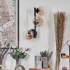 Chehalis kullampa, Vägglampa Amber, Klart, 3-ljuskällor