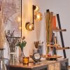 Chehalis kullampa, Vägglampa Amber, 3-ljuskällor