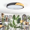 Cadaixo Taklampa LED Naturfärger, Svart, 1-ljuskällor, Fjärrkontroll