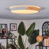 Cadaixo Taklampa LED Naturfärger, Vit, 1-ljuskällor, Fjärrkontroll