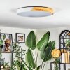 Cadaixo Taklampa LED Naturfärger, Vit, 1-ljuskällor, Fjärrkontroll