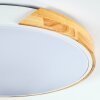 Cadaixo Taklampa LED Naturfärger, Vit, 1-ljuskällor, Fjärrkontroll