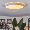 Cadaixo Taklampa LED Naturfärger, Vit, 1-ljuskällor, Fjärrkontroll