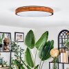Sofo Taklampa LED Naturfärger, 1-ljuskällor, Fjärrkontroll