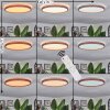 Sofo Taklampa LED Naturfärger, 1-ljuskällor, Fjärrkontroll