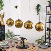 Koyoto Pendellampa, kullampa, Pendelbelysning Guld, 4-ljuskällor