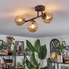 Chehalis Taklampa, kullampa Amber, 3-ljuskällor