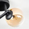 Chehalis Taklampa, kullampa Amber, Klart, 3-ljuskällor