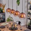 Koyoto Pendellampa, kullampa, Pendelbelysning Klart, Kopparfärg, 4-ljuskällor