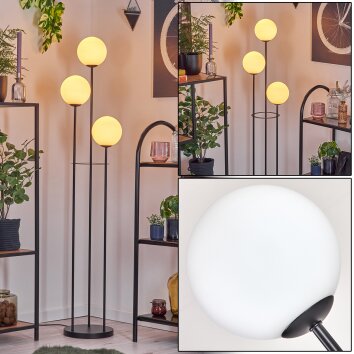 Gastor Golvlampa Svart, 3-ljuskällor