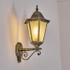 Hongkong vägglampa utomhus, Vägglampa Guld, Svart, 1-ljuskällor