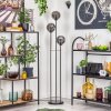 Gastor Golvlampa Svart, 3-ljuskällor