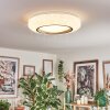 Dayen Taklampa LED Silver, Vit, 1-ljuskällor, Fjärrkontroll