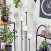 Gastor Golvlampa Trä mörkt, Svart, 4-ljuskällor
