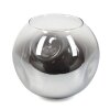 Lampskärm i glas  Ripoll Reservglas, reservdel Krom, Klart, Rökfärger