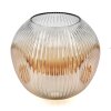Ripoll Reservglas Amber, Klart