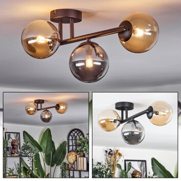 Chehalis Taklampa, kullampa Amber, Rökfärger, 3-ljuskällor