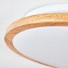 Nogueira Taklampa, Panel LED Naturfärger, Vit, 1-ljuskällor