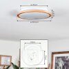 Nogueira Taklampa, Panel LED Naturfärger, Vit, 1-ljuskällor
