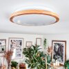 Nogueira Taklampa, Panel LED Naturfärger, Vit, 1-ljuskällor