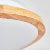 Nogueira Taklampa, Panel LED Naturfärger, Vit, 1-ljuskällor
