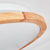 Nogueira Taklampa, Panel LED Vit, 1-ljuskällor, Fjärrkontroll