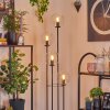 Gastor Golvlampa 30 cm Trä mörkt, Svart, 4-ljuskällor