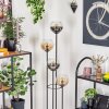Koyoto Golvlampa 30 cm Trä mörkt, Svart, 4-ljuskällor