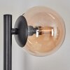 Chehalis kullampa, Vägglampa Amber, Rökfärger, 3-ljuskällor
