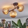 Chehalis Taklampa, kullampa Amber, 3-ljuskällor