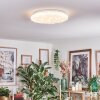 Deral Taklampa LED Vit, 1-ljuskällor, Fjärrkontroll