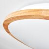 Nogueria Taklampa, Panel LED Vit, 1-ljuskällor, Fjärrkontroll