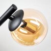 Chehalis Taklampa, kullampa Amber, 3-ljuskällor