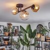Chehalis Taklampa, kullampa Amber, Klart, 3-ljuskällor