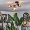Chehalis Taklampa, kullampa Amber, Klart, 3-ljuskällor