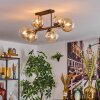 Gastor Taklampa, kullampa Amber, Klart, 6-ljuskällor