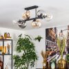 Gastor Taklampa, kullampa Amber, Klart, Rökfärger, 6-ljuskällor